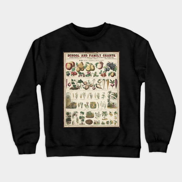 Healthy food habits agriculture educational vintage chart poster Crewneck Sweatshirt by SpaceWiz95